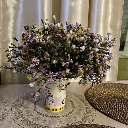 Flat Near The Sea Daire Ahyolu